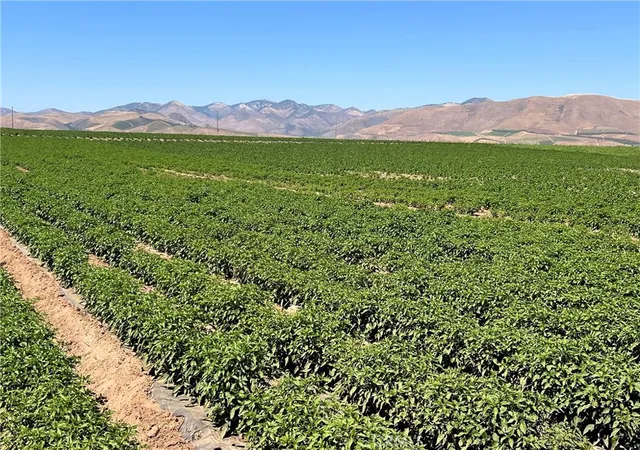 Photo 3 of Land for sale at 3480 Orcutt Garey Rd, Santa Maria, CA 93454 | MLS# SC24248964 | Listing updated on 2026-04-01