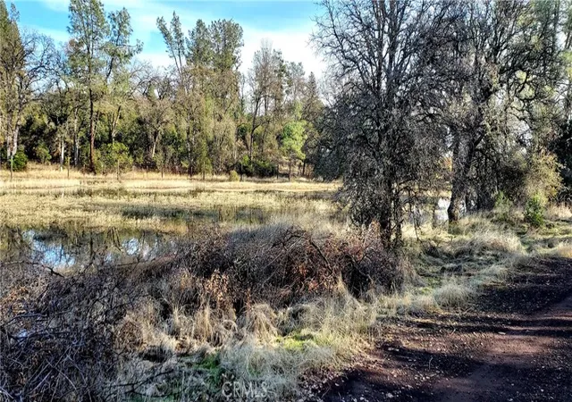 2nd image of 15151 Gray Pine Rd, Lower Lake, CA 95457 | MLS# LC24251681