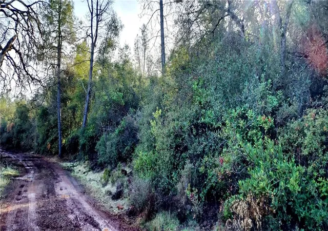 3rd image of 15151 Gray Pine Rd, Lower Lake, CA 95457 | MLS# LC24251681
