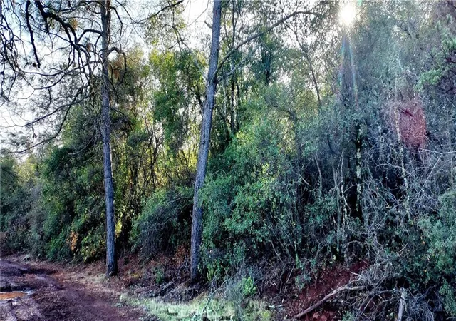 4th image of 15151 Gray Pine Rd, Lower Lake, CA 95457 | MLS# LC24251681