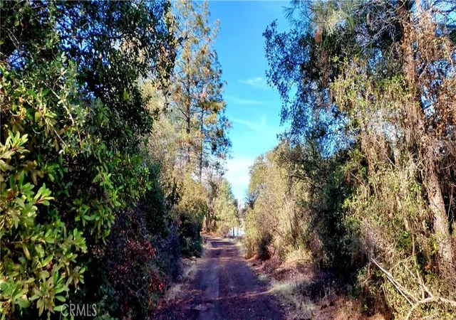 6th image of 15151 Gray Pine Rd, Lower Lake, CA 95457 | MLS# LC24251681