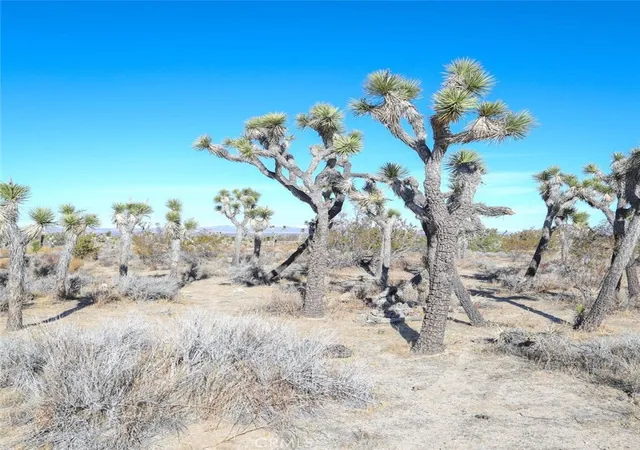 1st image of 0 W Ave 12, Llano, CA 93544 | MLS# PW24252907