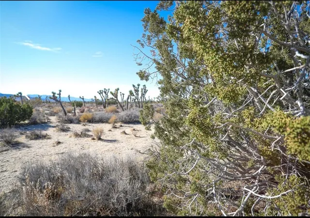 4th image of 0 W Ave 12, Llano, CA 93544 | MLS# PW24252907