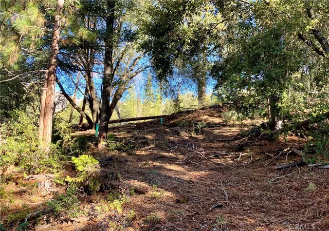 2nd image of 50963 Chu Ranch Rd, Oakhurst, CA 93644 | MLS# FR24255898