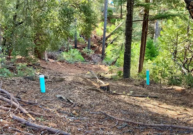 Photo 3 of Land for sale at 50963 Chu Ranch Rd, Oakhurst, CA 93644 | MLS# FR24255898 | Listing updated on 2026-01-29