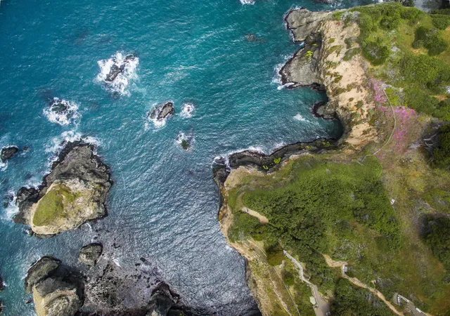 26th image of 6030 Hwy 1, Little River, CA 95456 | MLS# C1-10847