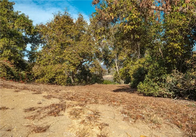 4th image of 48 Pauma Ridge Rd, Valley Center, CA 92082 | MLS# SW25003233