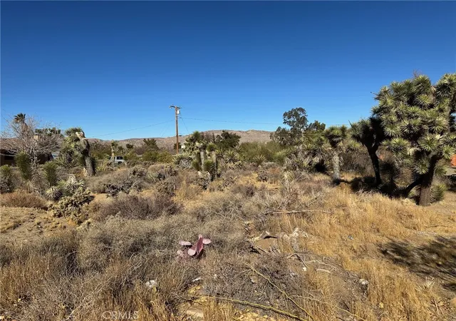 Photo 3 of Land for sale at 56434 Desert Gold Dr, Yucca Valley, CA 92284 | MLS# JT25009563 | Listing updated on 2026-01-13