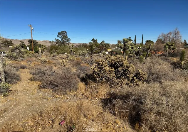 Photo 3 of Land for sale at 56434 Desert Gold Dr, Yucca Valley, CA 92284 | MLS# JT25009563 | Listing updated on 2026-01-13