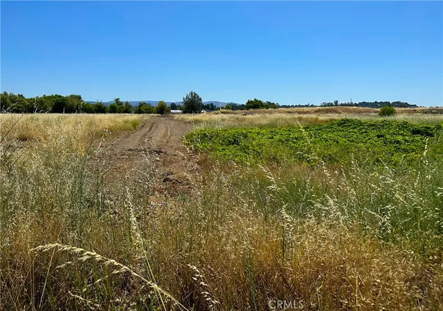 Photo 4 of Land for sale at 2789 S 7th Avenue, Oroville, CA 95965 | MLS# IV25010347 | Listing updated on 2026-03-19
