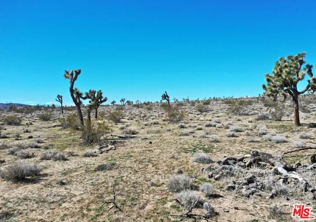 1st image of 0 Rice Ave, Joshua Tree, CA 92252 | MLS# 25483765
