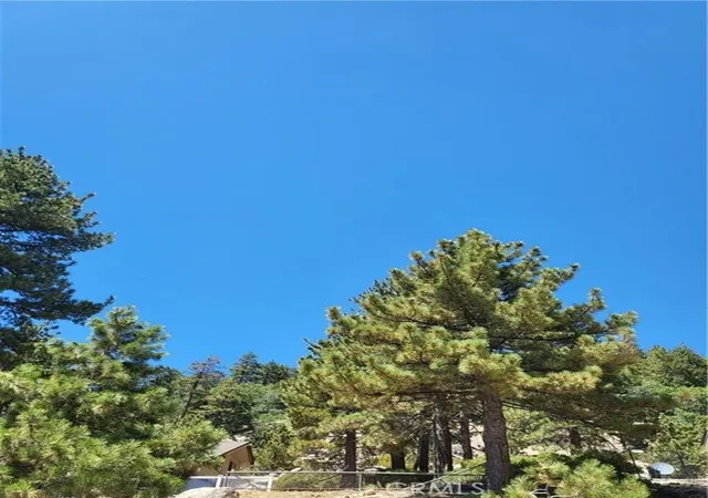 2nd image of 0 North Shore Dr, Fawnskin, CA 92333 | MLS# IG25012446