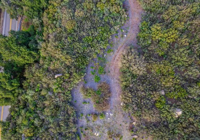 4th image of 2253 Honey Springs Rd, Jamul, CA 91935 | MLS# 250016825SD
