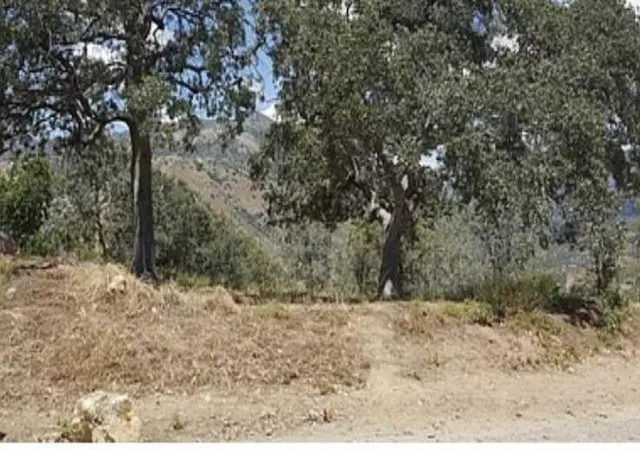 2nd image of 29170 Teresa Spring Rd, Tollhouse, CA 93667 | MLS# ML81991193