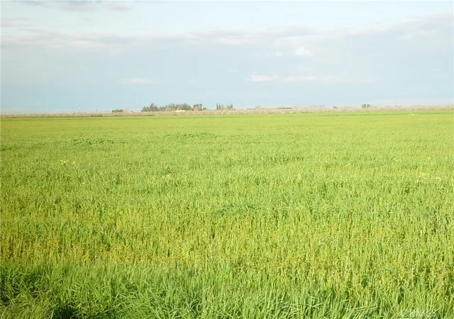 Photo 3 of Land for sale at 1 Rd 18 3/4, Chowchilla, CA 93610 | MLS# MD25021247 | Listing updated on 2025-12-26
