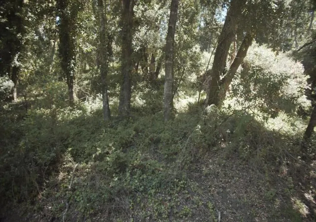 Photo 4 of Land for sale at 0 Burns, Aptos, CA 95003 | MLS# ML81992152 | Listing updated on 2026-08-31