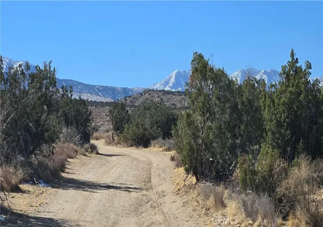 4th image of 5 Avenue Y6, Llano, CA 93544 | MLS# CV25022097