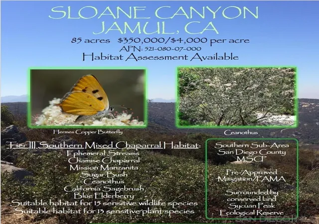 1st image of 0 E Sloane Canyon Road, Jamul, CA 91935 | MLS# 250017993SD