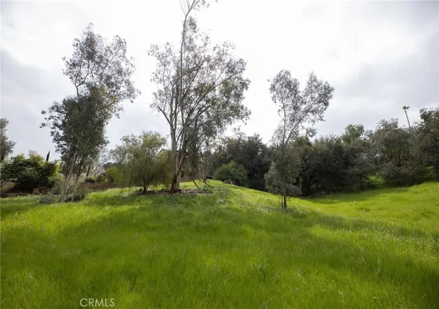 4th image of 1702 Dwight St, Redlands, CA 92373 | MLS# IG25027733