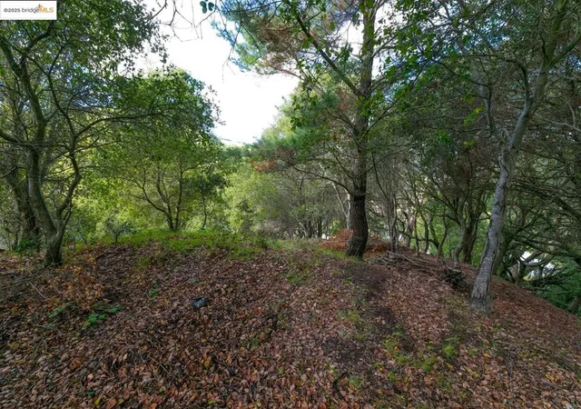 Photo 1 of Land for sale at 26 Lucille Way, Orinda, CA 94563 | MLS# 41085364 | Listing updated on 2026-05-31