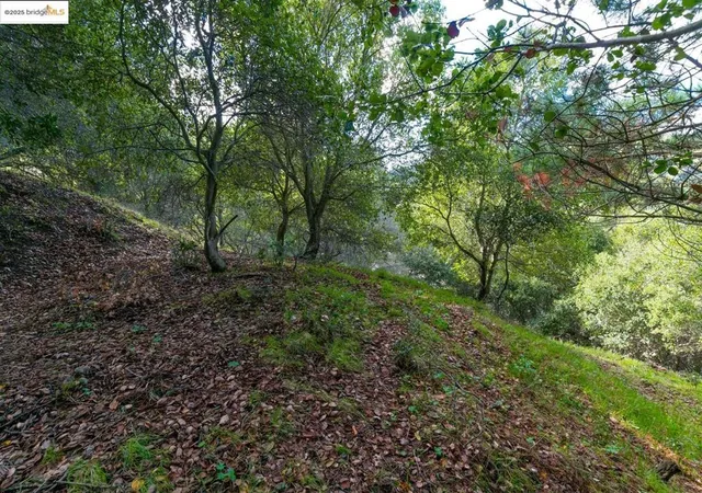 Photo 3 of Land for sale at 26 Lucille Way, Orinda, CA 94563 | MLS# 41085364 | Listing updated on 2026-05-31