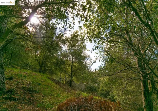 Photo 3 of Land for sale at 26 Lucille Way, Orinda, CA 94563 | MLS# 41085364 | Listing updated on 2026-05-31