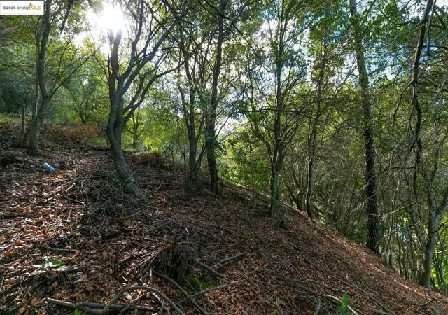 Photo 4 of Land for sale at 26 Lucille Way, Orinda, CA 94563 | MLS# 41085364 | Listing updated on 2026-05-31