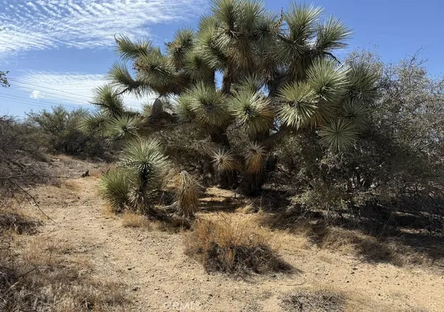 20th image of 8135 Joshua St, Phelan, CA 92371 | MLS# HD25031665