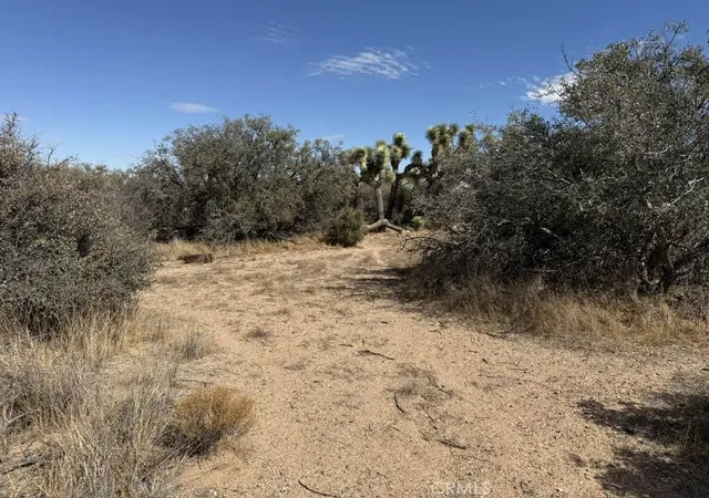 2nd image of 8135 Joshua St, Phelan, CA 92371 | MLS# HD25031665