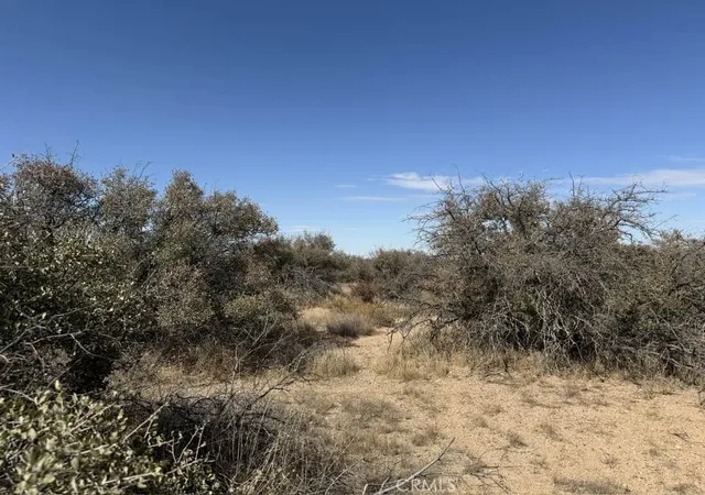 5th image of 8135 Joshua St, Phelan, CA 92371 | MLS# HD25031665
