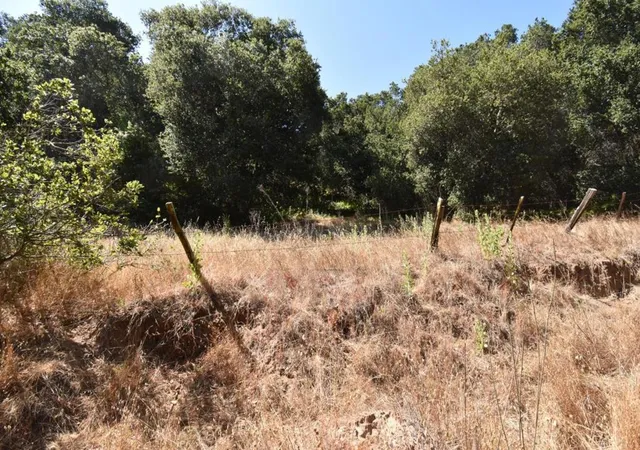 56th image of Alexander Ln, San Juan Bautista, CA 95045 | MLS# ML81994433