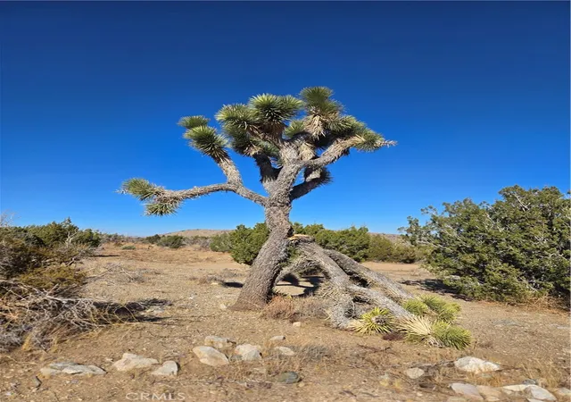 Photo 1 of Land for sale at 0 Murphys Ln, Littlerock, CA 93543 | MLS# IG25037440 | Listing updated on 2026-04-13