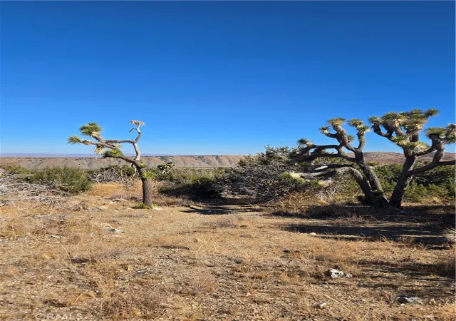 Photo 2 of Land for sale at 0 Murphys Ln, Littlerock, CA 93543 | MLS# IG25037440 | Listing updated on 2026-04-13