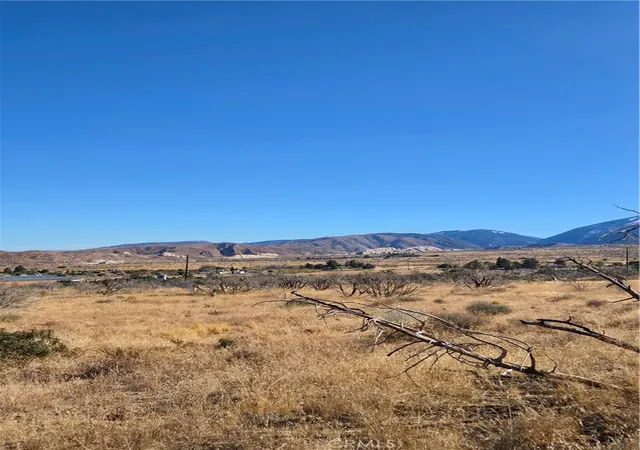 Photo 4 of Land for sale at 0 Murphys Ln, Littlerock, CA 93543 | MLS# IG25037440 | Listing updated on 2026-04-13