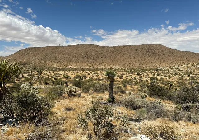 1st image of 2468 Prescott Ave, Yucca Valley, CA 92284 | MLS# JT25038264