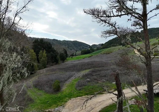 13th image of 5495 Jack Creek Rd, Templeton, CA 93465 | MLS# PI25046937