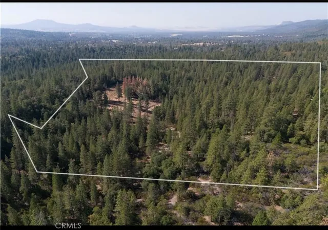 1st image of 5901 Manton Ponderosa Way, Manton, CA 96059 | MLS# SN25048623