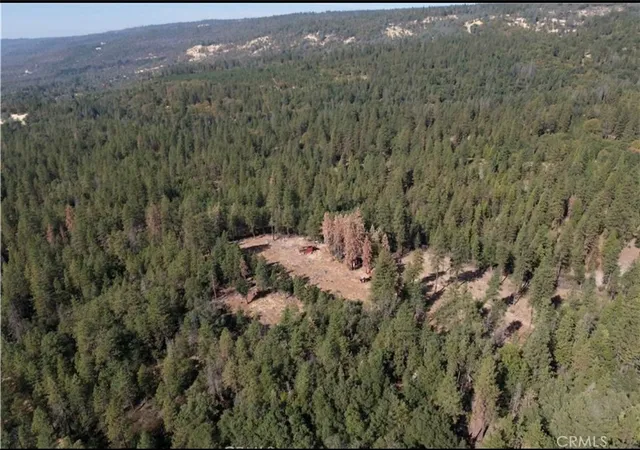 2nd image of 5901 Manton Ponderosa Way, Manton, CA 96059 | MLS# SN25048623