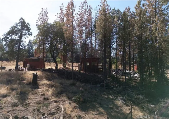 Photo 3 of Land for sale at 5901 Manton Ponderosa Way, Manton, CA 96059 | MLS# SN25048623 | Listing updated on 2026-09-23