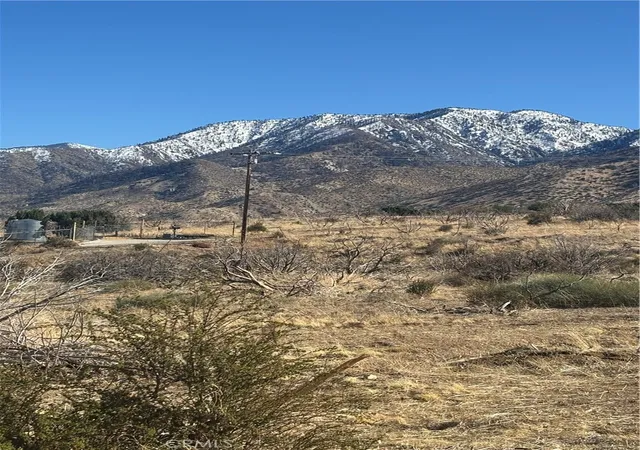 Homes for sale in Littlerock, CA | 0 Honeybee Ln, Littlerock, CA 93543 | MLS# SR25055234