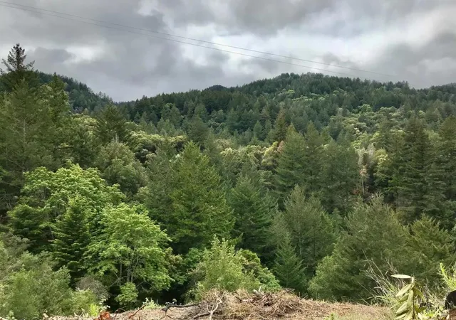 3rd image of 16503 Sanborn Rd, Saratoga, CA 95070 | MLS# ML81998415