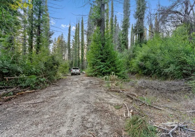 4th image of 21200 Big Basin Way, Boulder Creek, CA 95006 | MLS# ML81998742