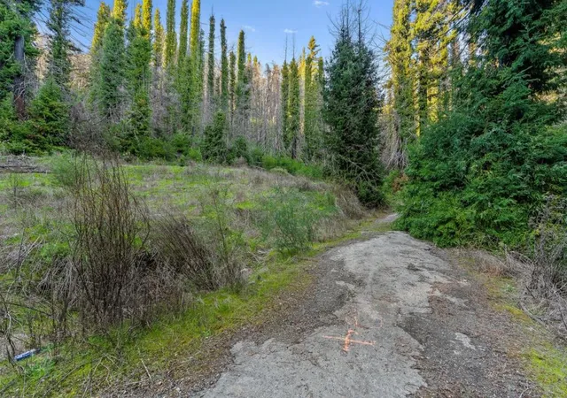 5th image of 21200 Big Basin Way, Boulder Creek, CA 95006 | MLS# ML81998742