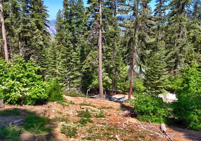 Photo 1 of Land for sale at 7420 Henness Ridge Rd, Yosemite National Park, CA 95389 | MLS# FR25056739 | Listing updated on 2026-09-18
