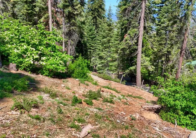 Photo 4 of Land for sale at 7420 Henness Ridge Rd, Yosemite National Park, CA 95389 | MLS# FR25056739 | Listing updated on 2026-09-18
