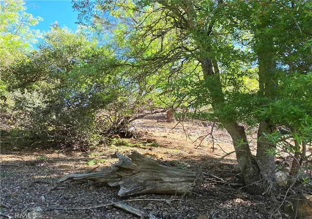17th image of 13477 Arrowhead Rd, Clearlake, CA 95422 | MLS# LC25053870