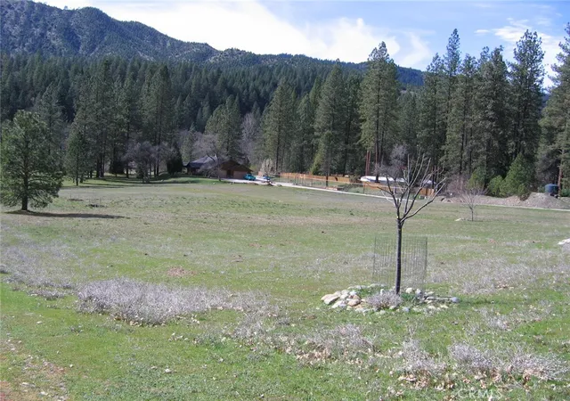 Photo 3 of Land for sale at 2512 Goose Ranch Rd, Lewiston, CA 96052 | MLS# TR25063874 | Listing updated on 2026-03-16