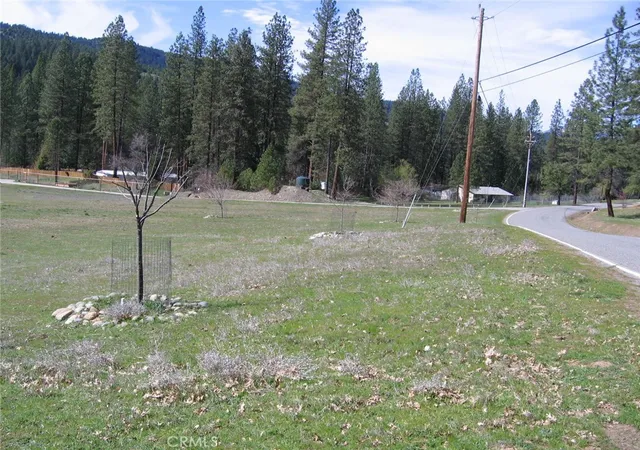 Photo 4 of Land for sale at 2512 Goose Ranch Rd, Lewiston, CA 96052 | MLS# TR25063874 | Listing updated on 2026-03-16