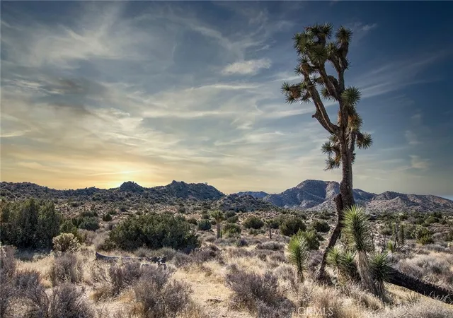 24th image of 58947 Carmelita Cir, Yucca Valley, CA 92284 | MLS# JT25069039