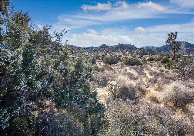 4th image of 58947 Carmelita Cir, Yucca Valley, CA 92284 | MLS# JT25069039